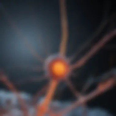 Biochemical Processes in Pain Perception Biochemical processes of pain perception