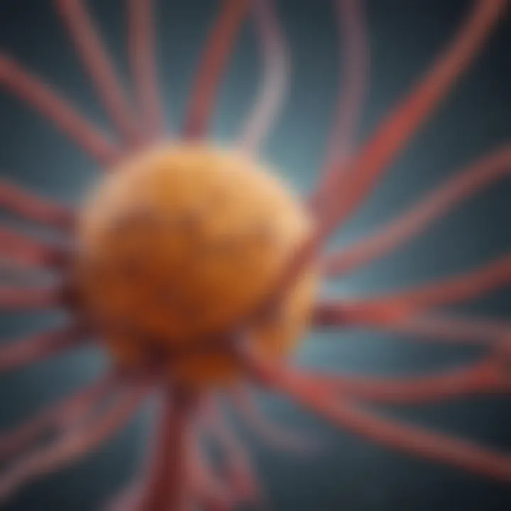 Diagram illustrating biological mechanisms influencing cancer treatment outcomes