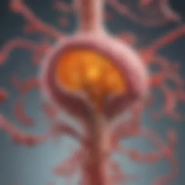 Visual representation of emerging therapies in bladder cancer treatment