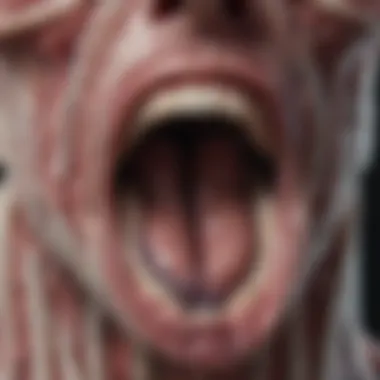 A detailed diagram illustrating the oral cavity anatomy with highlighted areas affected by carcinoma.