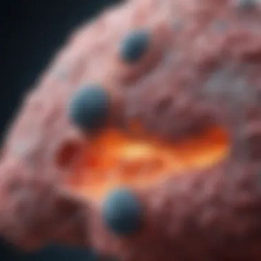 Cellular Mechanisms of Lung Cancer Development Cellular mechanisms leading to lung cancer development