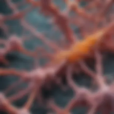 Amyloid Plaques Under the Microscope Microscopic view of amyloid plaques in brain tissue