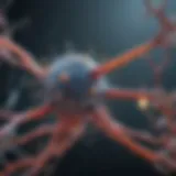 Diagram illustrating neurotransmitter reuptake and synaptic transmission