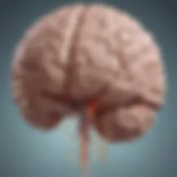 Illustration of acute brain swelling associated with Reye's syndrome