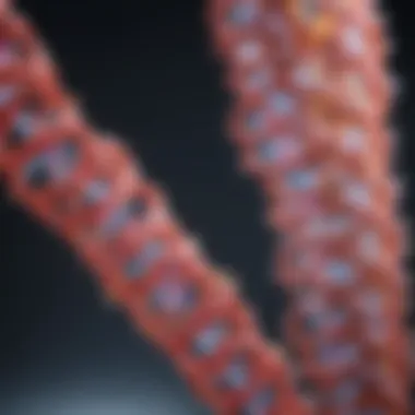 tRNA's Role in Protein Synthesis Infographic showing the role of tRNA in protein synthesis