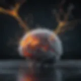 Visualization of neurotransmitter interactions within the brain
