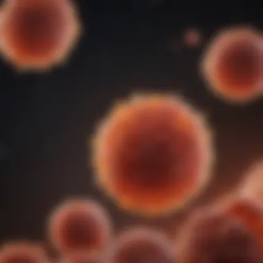 Nutritional Influences on B Cell Functionality Visual representation of nutritional factors impacting B cell development.