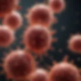 Illustration depicting the biological role of B cells in the immune system.