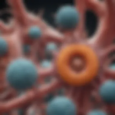 Cellular Mechanisms of Systemic Atrophy Illustration depicting the cellular mechanisms involved in systemic atrophy