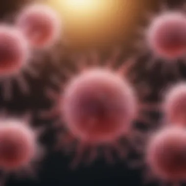 Mechanisms of T Cell Activation Mechanisms of T cell activation