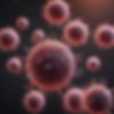 T Cell Interaction with Tumor Cells T cell interaction with tumor cells