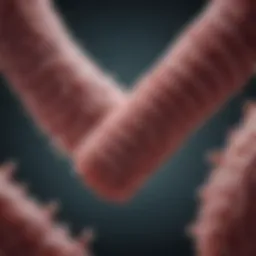 T3 Colon Cancer Treatment: A Comprehensive Overview Introduction