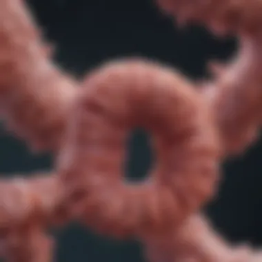 T3 Colon Cancer Treatment: A Comprehensive Overview Summary T3 Colon Cancer Treatment: A Comprehensive Overview Summary