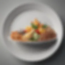 Illustration of a balanced plate showcasing nutrient diversity