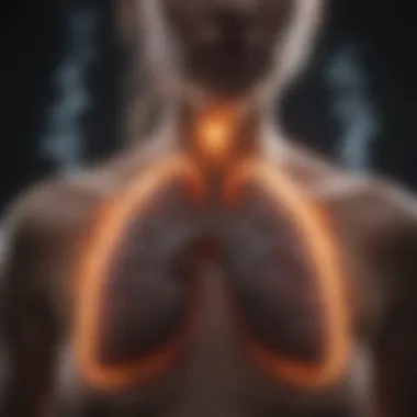The Toll on Lungs Lungs affected by cigarette smoke