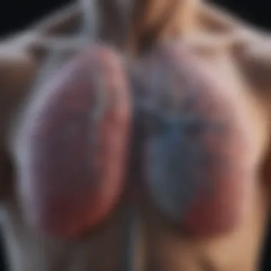 Graph showing the correlation between environmental factors and lung cancer incidence.