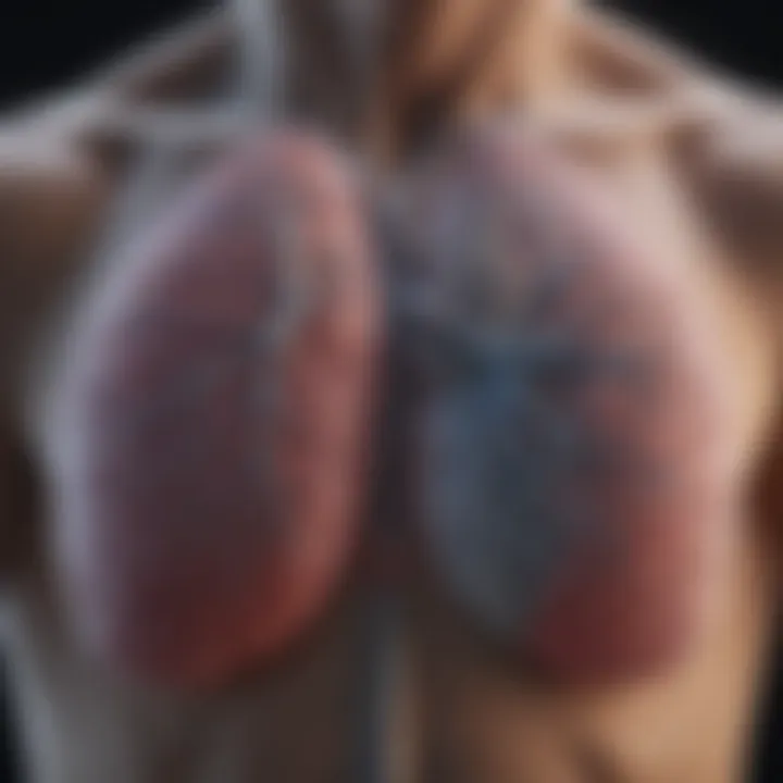 Graph showing the correlation between environmental factors and lung cancer incidence.