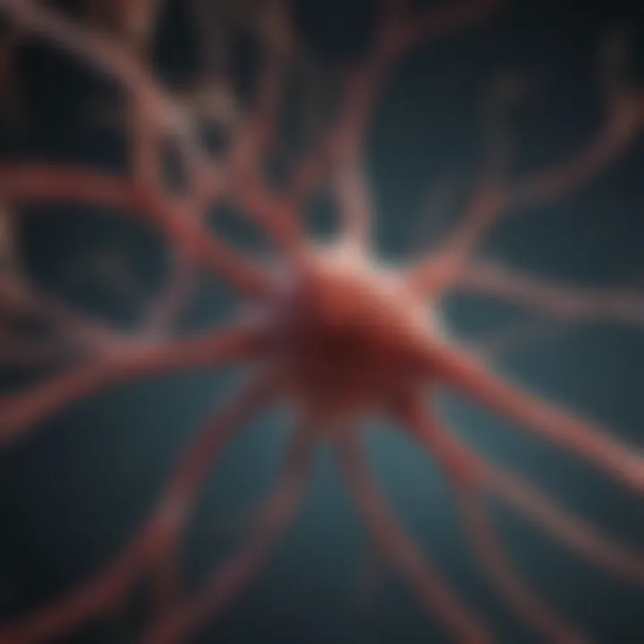 Detailed illustration of a neuron showcasing its structure