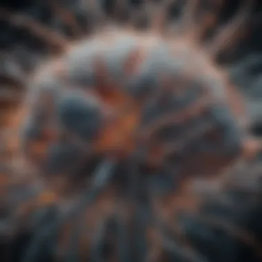 Neural Networks Dynamics Graphic representation of neural networks in the brain
