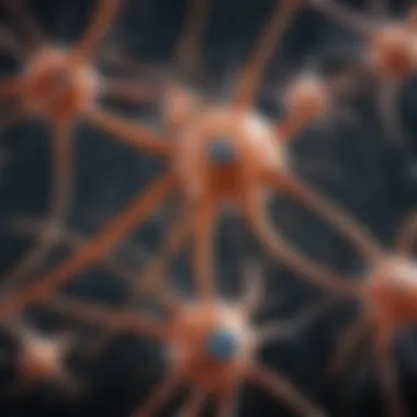 Visualization of different types of neurons and their interconnections