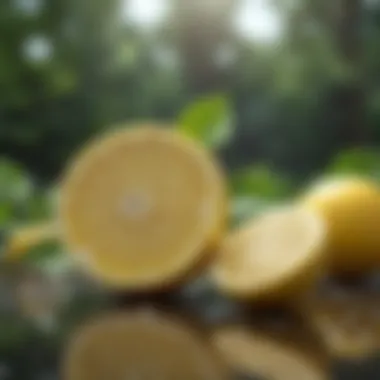 Natural Sources of Citronellal Natural sources of citronellal