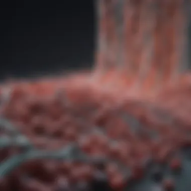 AMPK's impact on metabolic pathways