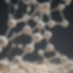 Molecular structure of amino acids in milk
