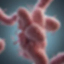 Illustration of probiotic bacteria and their benefits