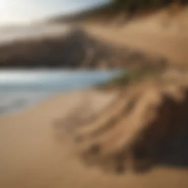 Before and after comparison of a beach affected by erosion