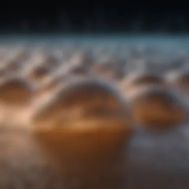 Sound Waves Impact on Sleep Visual representation of sound waves and their effects on the brain.