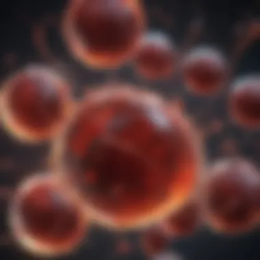 Imaging Techniques in Platelet Study Advanced imaging techniques for platelet morphology