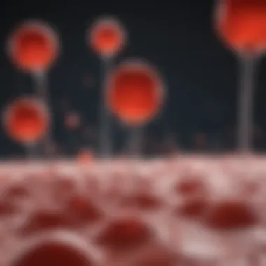 Platelet Aggregation Dynamics Visual representation of platelet aggregation process