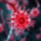 Cellular mechanisms of transformed marginal zone lymphoma