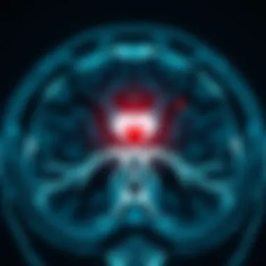 Advanced Imaging Techniques for Accurate Diagnosis of TMZL Diagnostic imaging techniques for lymphoma