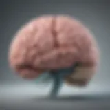 Illustration depicting the brain highlighting areas affected by ADHD