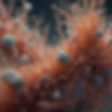 Intricate Composition of Biofilm Bacteria Microscopic view of biofilm structure showcasing diverse bacterial communities.