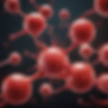 Functions of Blood Stem Cells Visual representation of blood stem cells and their functions