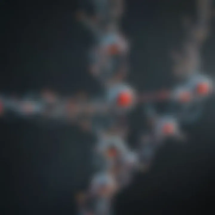 Diagram illustrating neurotransmitter synthesis pathways