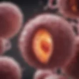 Detailed overview of breast cancer stages