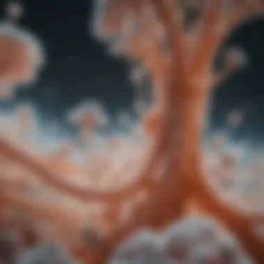 Microscopic Structures of Candida Microscopic view of Candida fungi