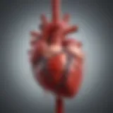 Illustration depicting blood flow to the heart