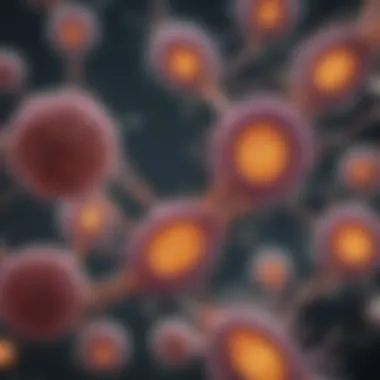 Genetic Regulation Mechanisms Diagram of genetic regulation mechanisms in cell differentiation