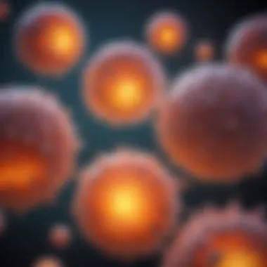 Stages of Cell Differentiation Illustration showing the stages of cell differentiation