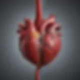 Illustration depicting the connection between diabetes and cardiovascular diseases.