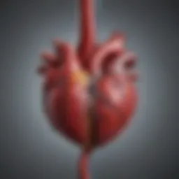 Illustration depicting the connection between diabetes and cardiovascular diseases.