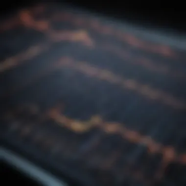 Detailed EKG Analysis Detailed EKG analysis showcasing T wave abnormalities