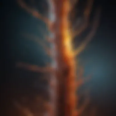Schematic representation of fiberblast interactions in biology.