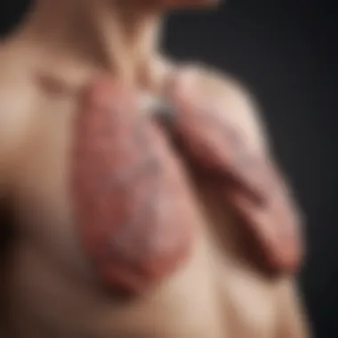 Importance of Lung Cancer Staging Infographic on lung cancer staging and its significance
