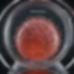 Understanding HepG2 Cell Culture Medium: Composition, Applications, and Best Practices Introduction