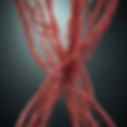 Illustration depicting the transmission pathways of HIV